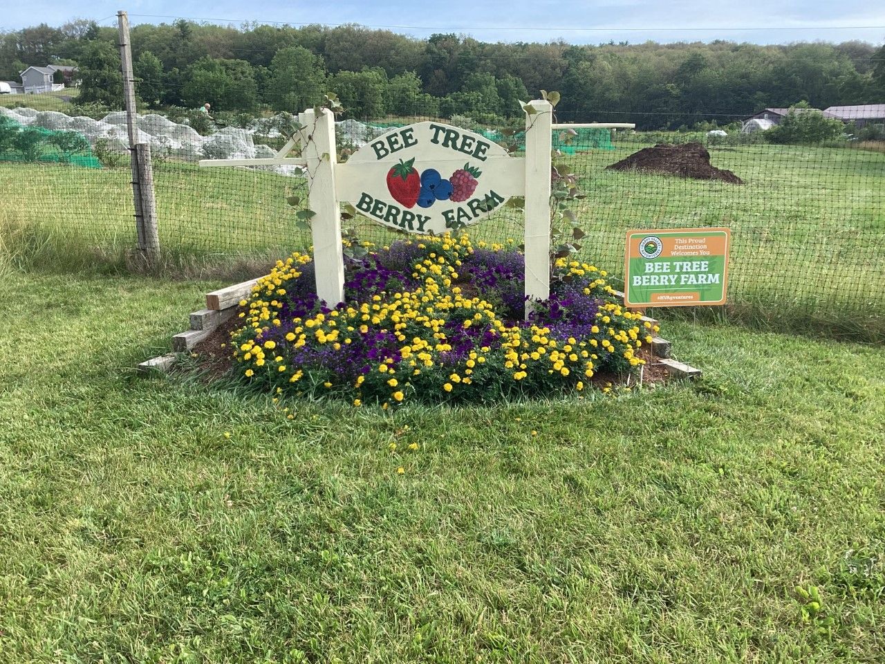 Local berry farm expands business with funds from Happy Valley Agventures grant program